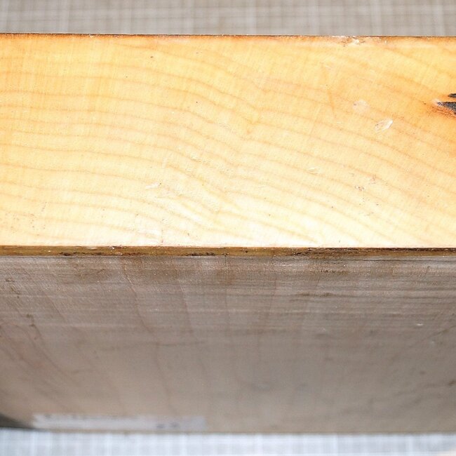 Spitzahorn, ca. 350 x 350 x 80 mm, 6,0 kg