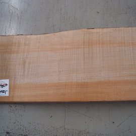 Softmaple fiddleback, approx. 558 x 213 x 54 mm