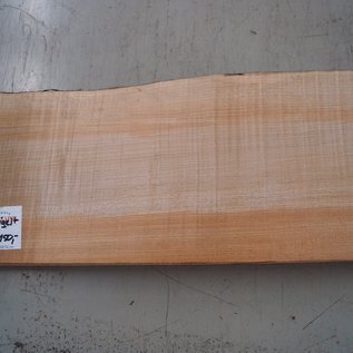 Softmaple fiddleback, approx. 558 x 213 x 54 mm