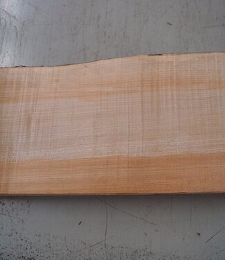 Softmaple Riegel, ca. 558 x 213 x 54 mm
