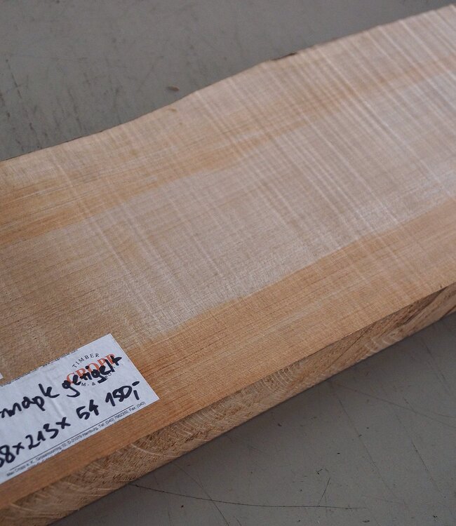 Softmaple fiddleback, approx. 558 x 213 x 54 mm