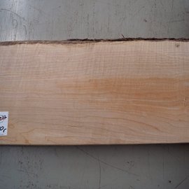 Softmaple fiddleback, approx. 555 x 212 x 53 mm