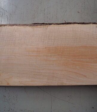 Softmaple Riegel, ca. 555 x 212 x 53 mm