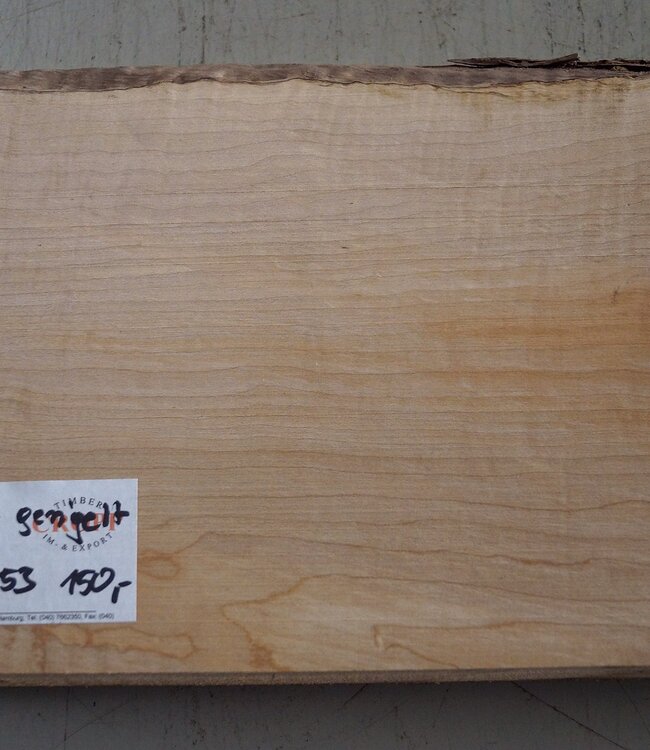 Softmaple fiddleback, approx. 555 x 212 x 53 mm