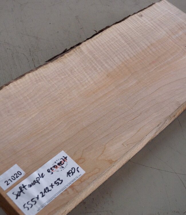Softmaple fiddleback, approx. 555 x 212 x 53 mm