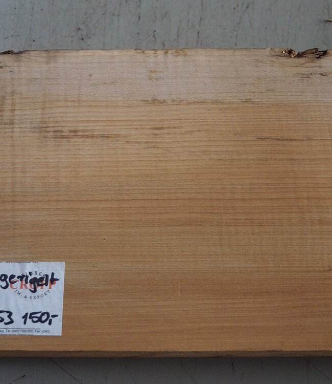 Softmaple Riegel, ca. 554 x 208 x 53 mm