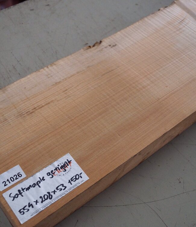Softmaple Riegel, ca. 554 x 208 x 53 mm