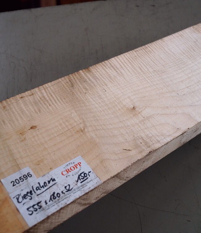 Maple fiddleback, approx. 555 x 180 x 52 mm