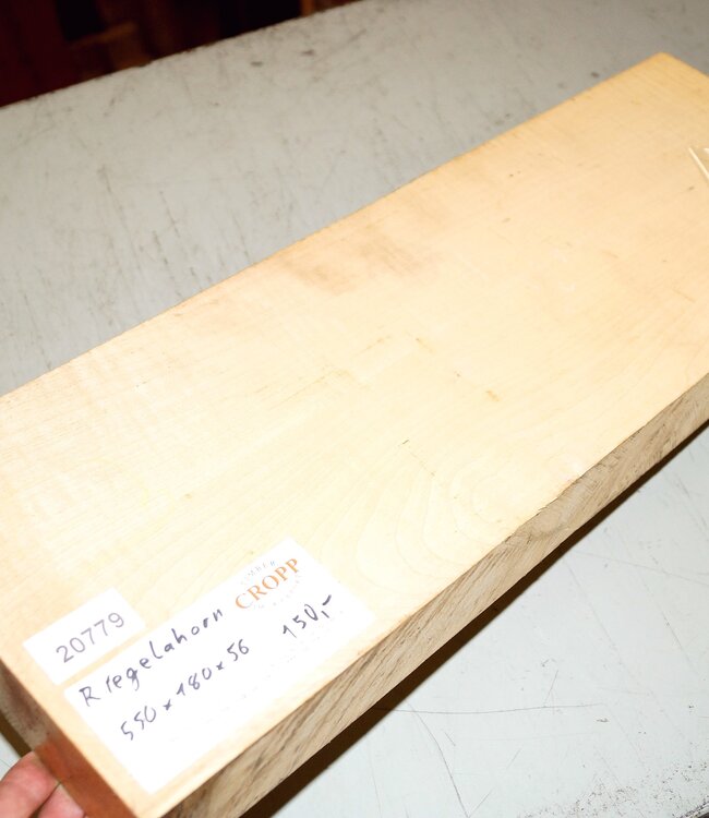 Maple fiddleback, approx.  550 x 180 x 56 mm