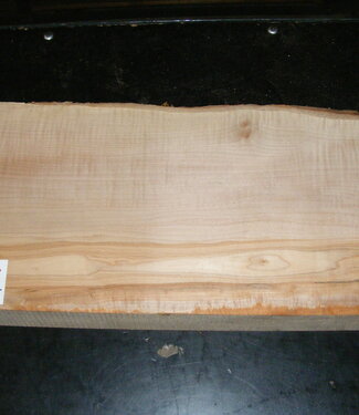 Maple fiddleback, approx. 550 x 220 x 55 mm