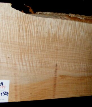 Softmaple Riegel, ca. 560 x 195 x 54 mm