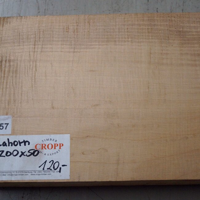Riegelahorn, ca. 550 x 200 x 50 mm