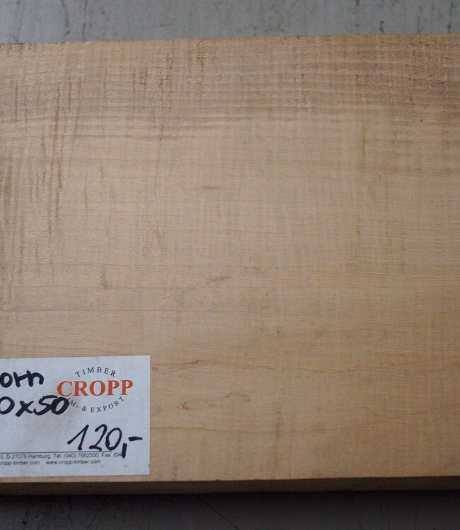 Maple fiddleback, approx. 550 x 200 x 50 mm