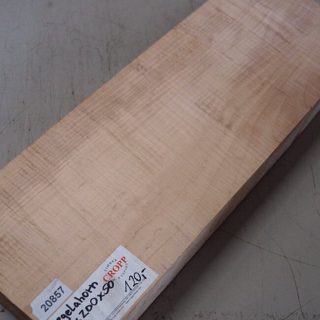 Riegelahorn, ca. 550 x 200 x 50 mm