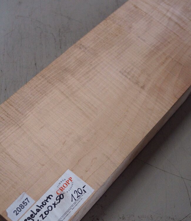 Maple fiddleback, approx. 550 x 200 x 50 mm