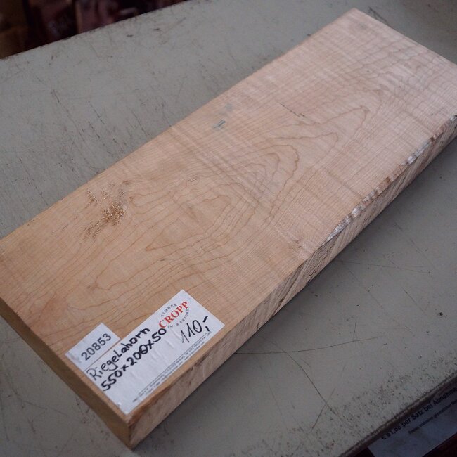 Riegelahorn, ca. 550 x 200 x 50 mm