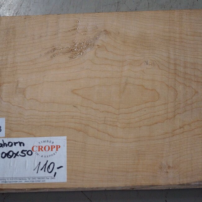 Riegelahorn, ca. 550 x 200 x 50 mm
