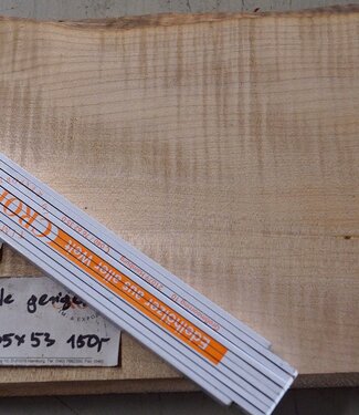 Softmaple Riegel, ca. 556 x 205 x 53 mm