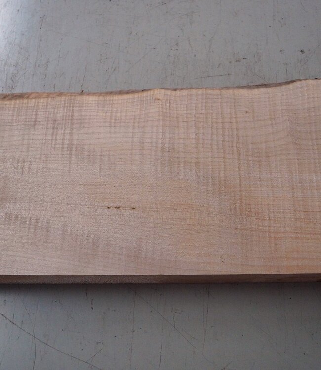 Softmaple fiddleback, approx. 556 x 205 x 53 mm