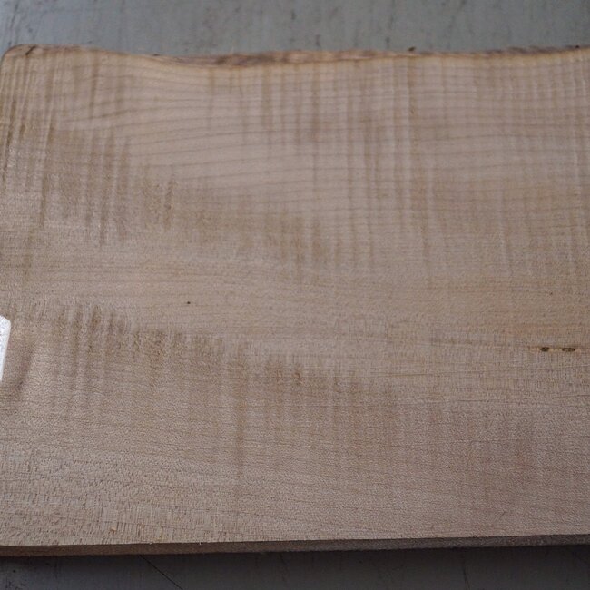 Softmaple Riegel, ca. 556 x 205 x 53 mm