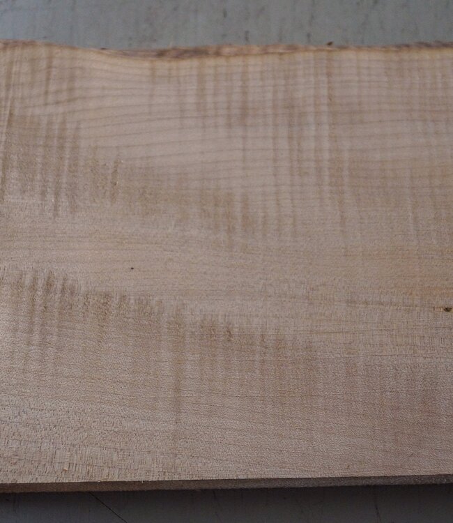 Softmaple Riegel, ca. 556 x 205 x 53 mm