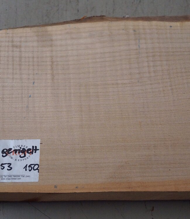 Softmaple fiddleback, approx. 552 x 208 x 53 mm