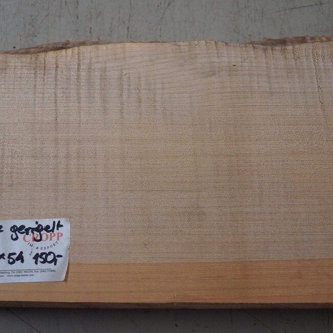 Softmaple Riegel, ca. 550 x 210 x 54 mm