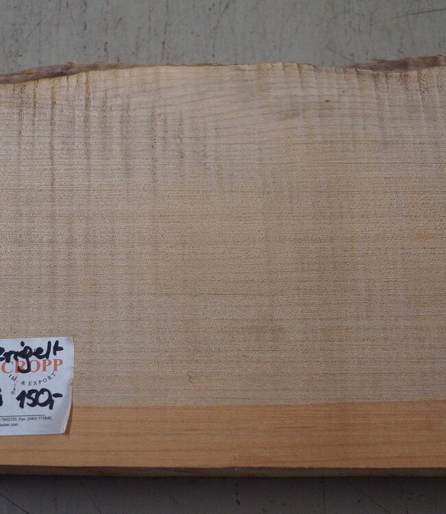 Softmaple Riegel, ca. 550 x 210 x 54 mm