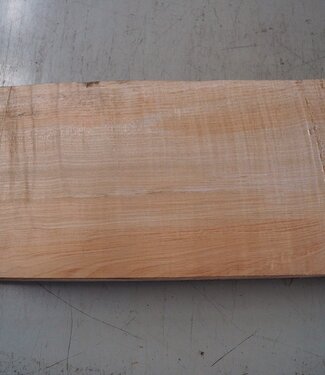 Softmaple fiddleback, approx. 552 x 217 x 53 mm