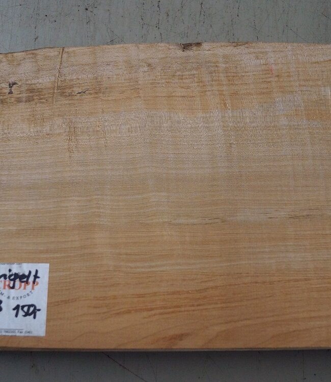 Softmaple Riegel, ca. 552 x 217 x 53 mm
