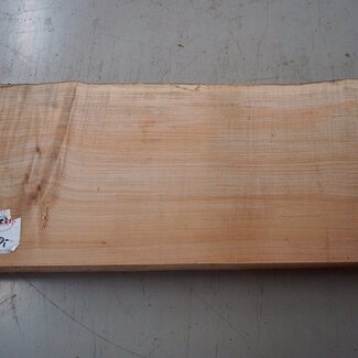 Softmaple Riegel, ca. 555 x 210 x 54 mm