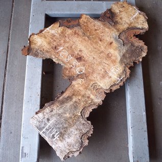 Poplar burl, Mappa slab, approx. 1140 x 630 x 65 mm, 12830