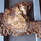 Poplar burl, Mappa slab, approx. 1140 x 630 x 65 mm, 12830