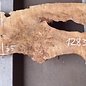 Poplar burl, Mappa slab, approx. 1600 x 630/350 x 55 mm, 12835