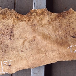 Poplar burl, Mappa slab, approx. 2080 x 550/330 x 55 mm, 12836