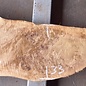 Poplar burl, Mappa slab, approx. 2080 x 550/330 x 55 mm, 12836