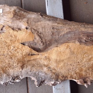 Poplar burl, Mappa slab, approx. 2080 x 550/330 x 55 mm, 12836