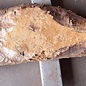 Poplar burl, Mappa slab, approx. 2080 x 550/330 x 55 mm, 12836