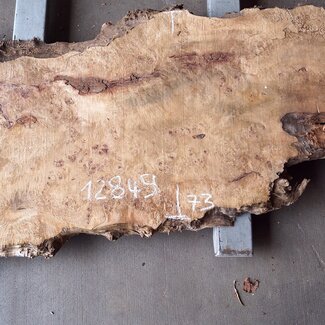 Pappel Maserplatte, ca. 2100 x 350/730 x 52 mm, 12849