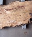 Poplar burl, Mappa slab, approx. 2100 x 350/730 x 52 mm, 12849