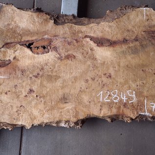 Poplar burl, Mappa slab, approx. 2100 x 350/730 x 52 mm, 12849