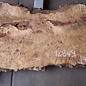 Poplar burl, Mappa slab, approx. 2100 x 350/730 x 52 mm, 12849