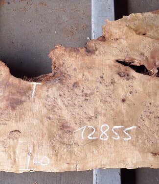Poplar burl, Mappa slab, approx. 1900 x 770/400/710 x 65mm, 12855