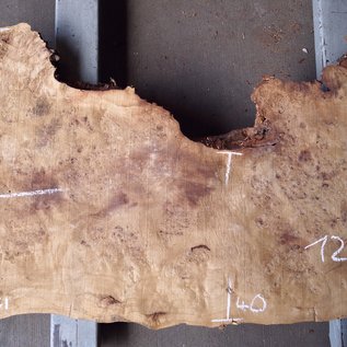 Poplar burl, Mappa slab, approx. 1900 x 770/400/710 x 65mm, 12855