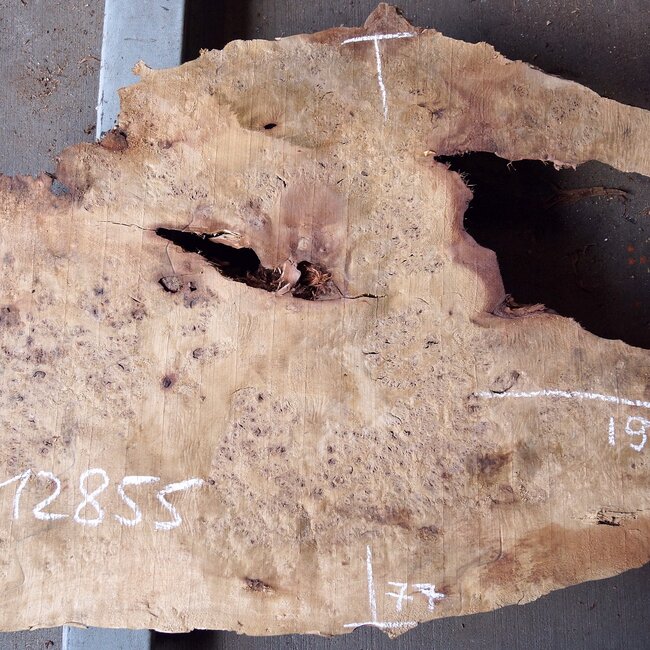 Pappel Maserplatte, ca. 1900 x 770/400/710 x 65 mm, 12855