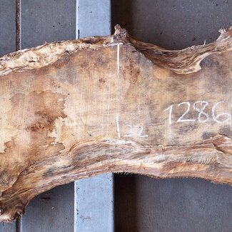 Pappel Maserplatte, ca. 2300 x 570/320 x 50 mm, 12860