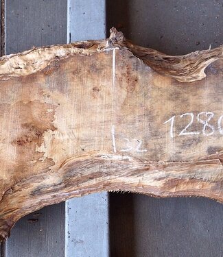 Pappel Maserplatte, ca. 2300 x 570/320 x 50 mm, 12860