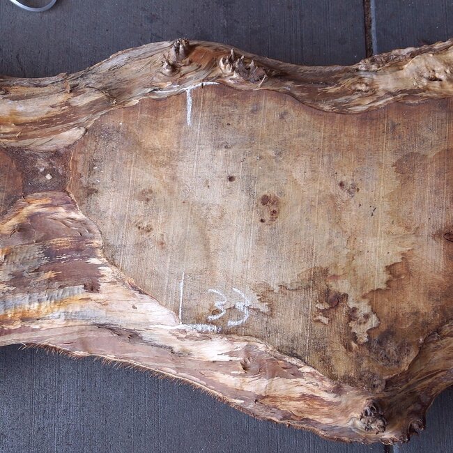 Pappel Maserplatte, ca. 2300 x 570/320 x 50 mm, 12860