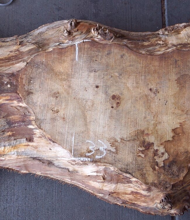 Pappel Maserplatte, ca. 2300 x 570/320 x 50 mm, 12860