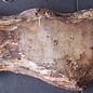 Poplar burl, Mappa slab, approx. 2300 x 570/320 x 50 mm, 12860